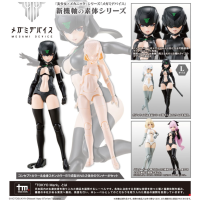 B1R-L CHASSIS KIT SKIN COLOR B