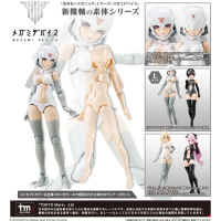 B1R-L CHASSIS KIT SKIN COLOR A