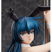 井河阿莎姬 裸腿兔女郎Ver.