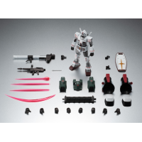 R魂 高達 (Rollout Color) & 模型狂四郎 ver. A.N.I.M.E.