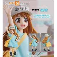 POP UP PARADE 血小板